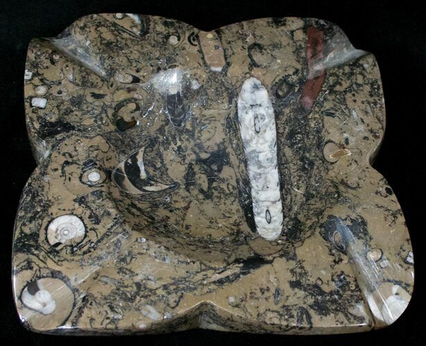 Orthoceras & Goniatite Fossil Ashtray #14536